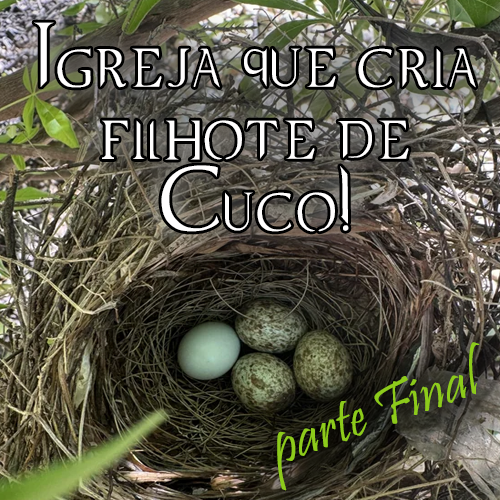 Igreja que cria filhote de Cuco! (parte final)